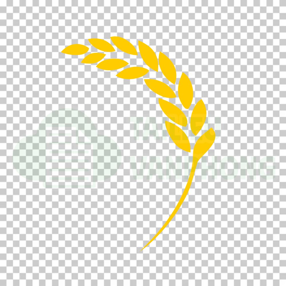 Logo Bông Lúa Vector AI/CDR/PNG Đẹp Sắc Nét [Miễn Phí]